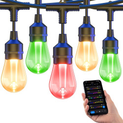 20'x40' Tent Lights